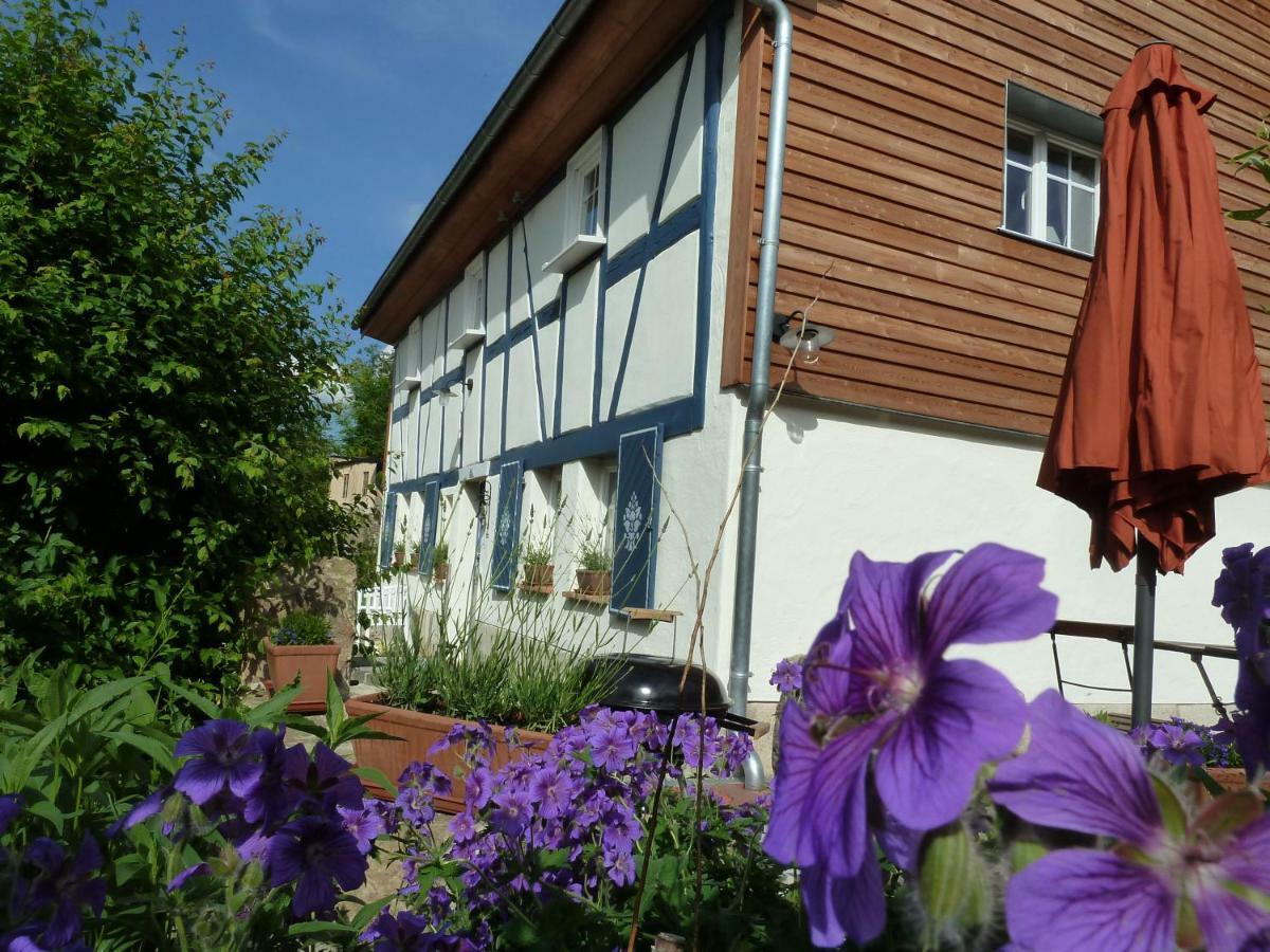 Villa Goldbachhäuschen Olbersdorf Exterior foto